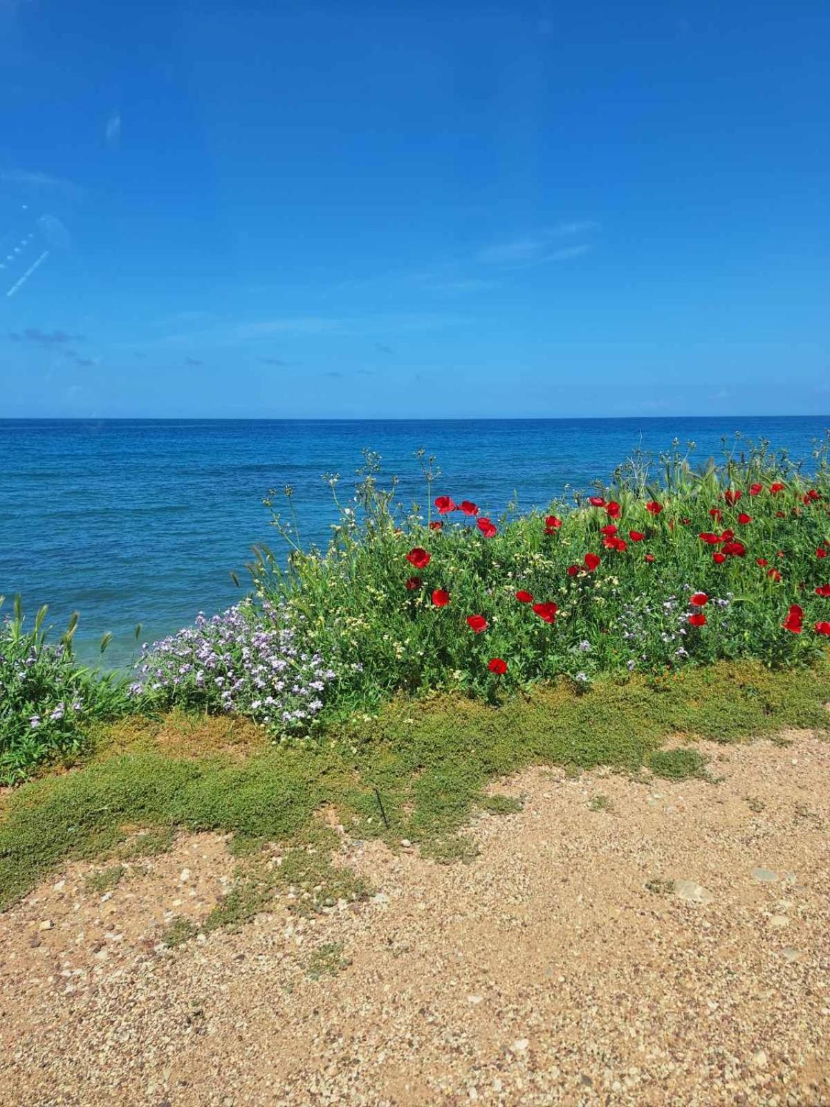 Ariadne Studio Kyparissia Buitenkant foto